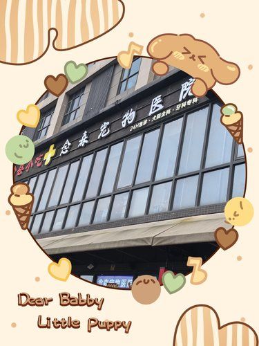 念森宠物医院探店记