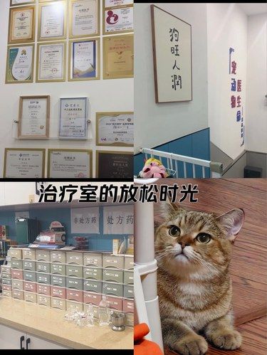 服务真的很好，这家宠物医院，值得关注～