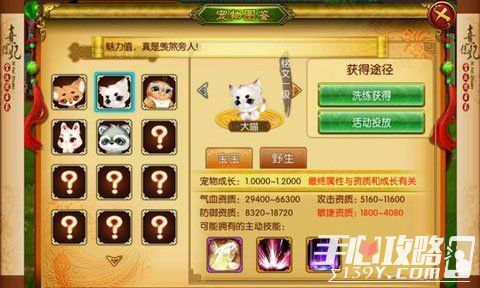 熹妃传体验服宠物系统的重要玩法解析2