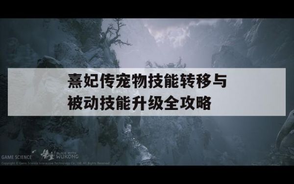 熹妃传宠物技能转移与被动技能升级全攻略