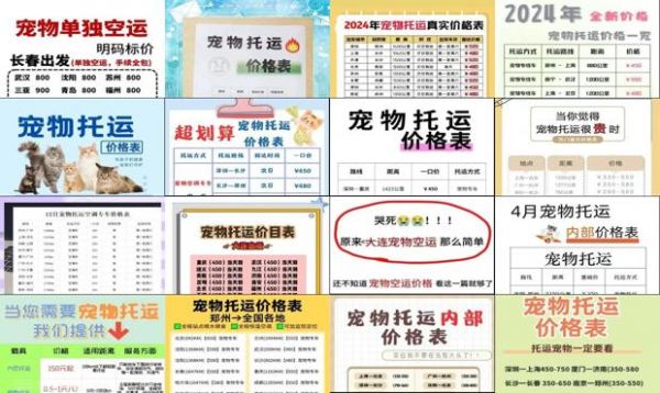 宠物托运大连宠物空运价格查询