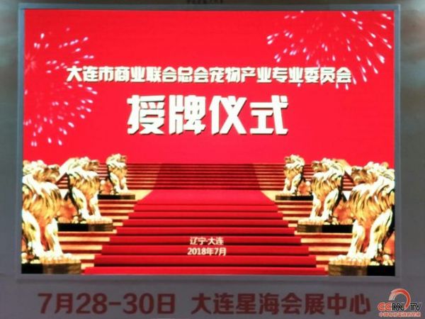 大连宠物物流