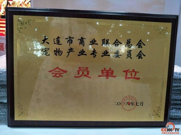 大连宠物物流