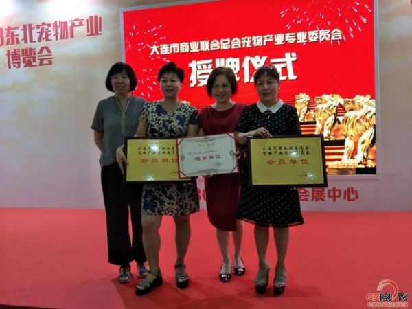 大连宠物物流