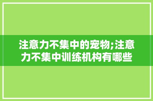 注意力不集中的宠物;注意力不集中训练机构有哪些
