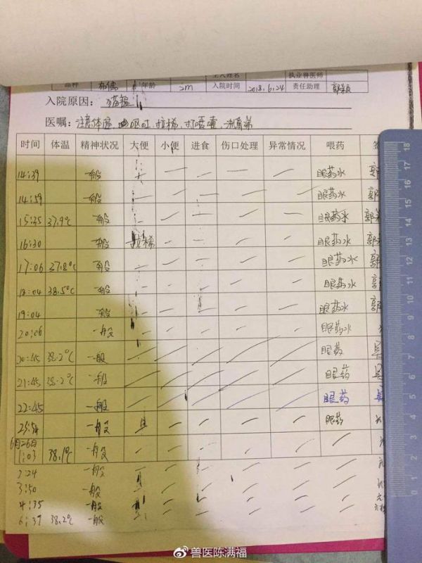【不可否认的是，西安爱宠堂动物医院是西安真正的24小时动物医院】