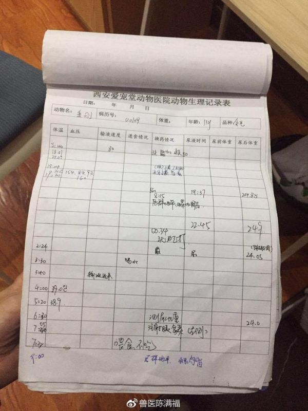 【不可否认的是，西安爱宠堂动物医院是西安真正的24小时动物医院】