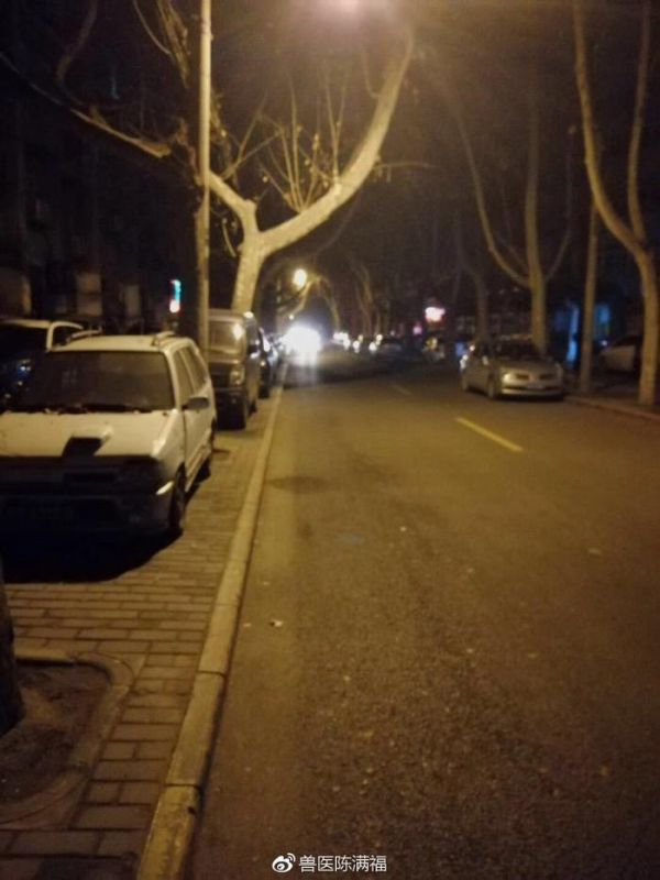 【不可否认的是，西安爱宠堂动物医院是西安真正的24小时动物医院】