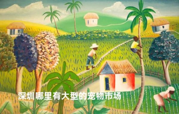 深圳哪里有大型的宠物市场