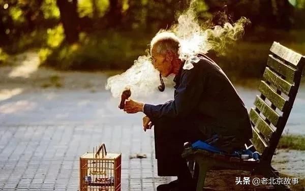 北京最有名的宠物市场在哪（北京官园市场简介）