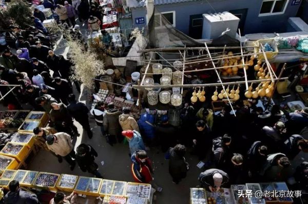 北京最有名的宠物市场在哪（北京官园市场简介）