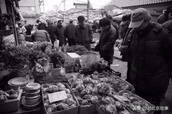 北京最有名的宠物市场在哪（北京官园市场简介）