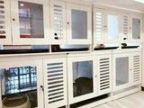 宠物寄养 成都宠物寄养中心
