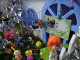 北京昌平宠物火化殡葬 北京爱宠善后宠物殡葬火化服务