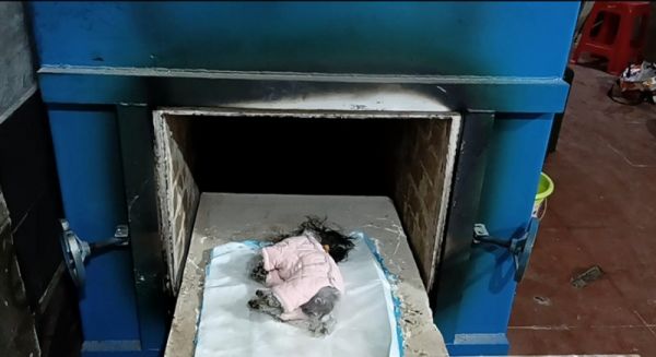 武汉宠物丧葬 动物火葬场 宠物安葬 小狗死亡 猫火化 无忧服务，高效服务