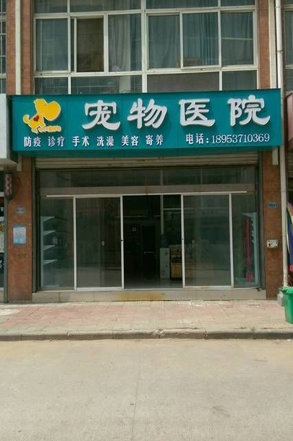 宠物医院开到几点,宠物医院一般几点开门几点关门