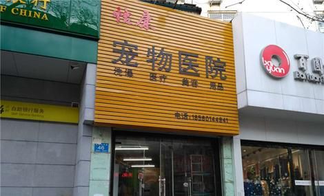 宠物医院开到几点,宠物医院一般几点开门几点关门