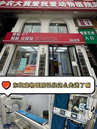 这家宠物医院已经next leave了
