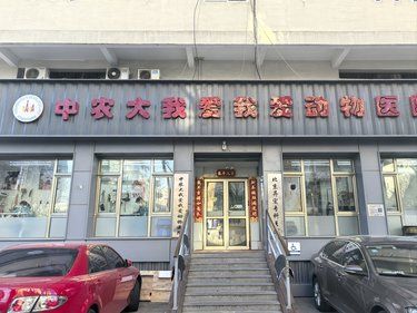带着毛孩子去驱虫的一天
