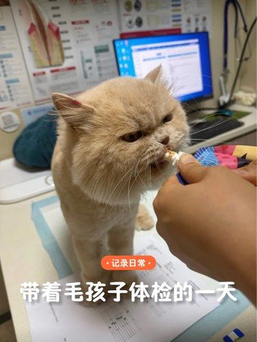 医术超赞 医心更美~