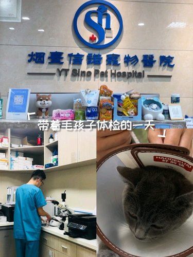 医术超赞，心医更美