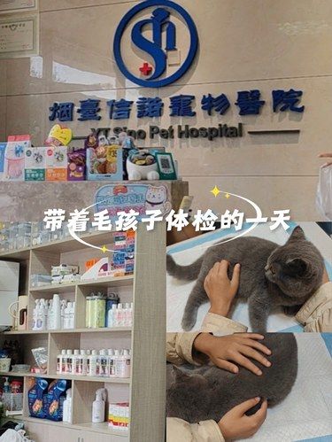 猫咪看病日记～必须给家附近的宠物医院好评