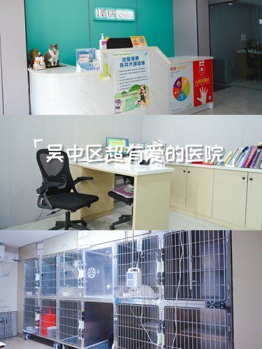 # 宝藏宠物医院！环境干净到想住进去✨