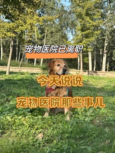 毛孩子看病的那些事儿！！