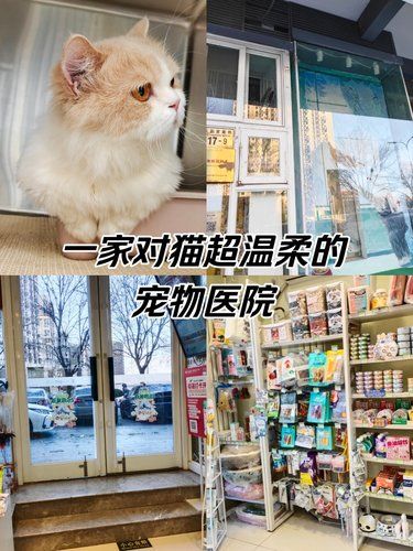 医术超赞 医心更美~