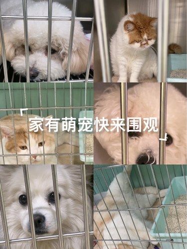 医术超赞 医心更美~