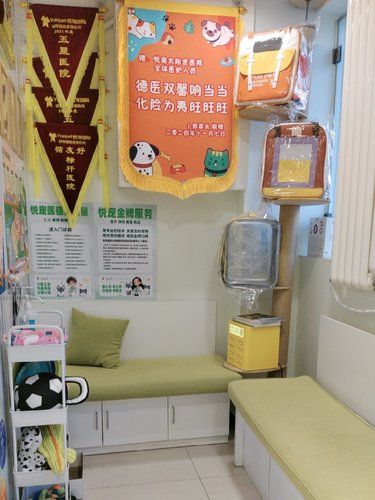 一家猫咪喜欢不紧张的医院