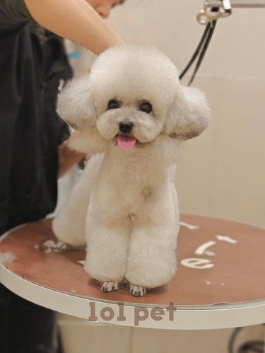 101 SALON｜优雅精致小美女~