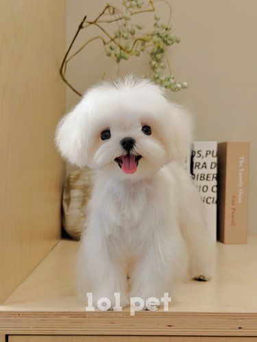 101 SALON｜蹦出一位小天使
