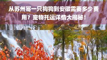 从苏州寄一只狗狗到安徽需要多少费用?宠物托运详情大揭秘!