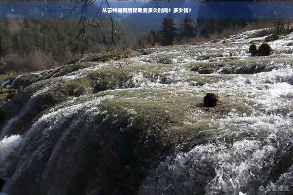 从苏州寄狗到昆明要多久时间?多少钱?