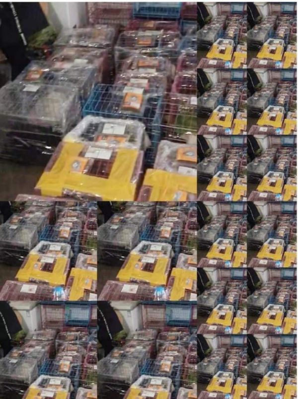 宠物空运托运收费标准 苏州活体宠物托运有单号吗