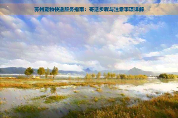 苏州宠物快递服务指南：寄送步骤与注意事项详解