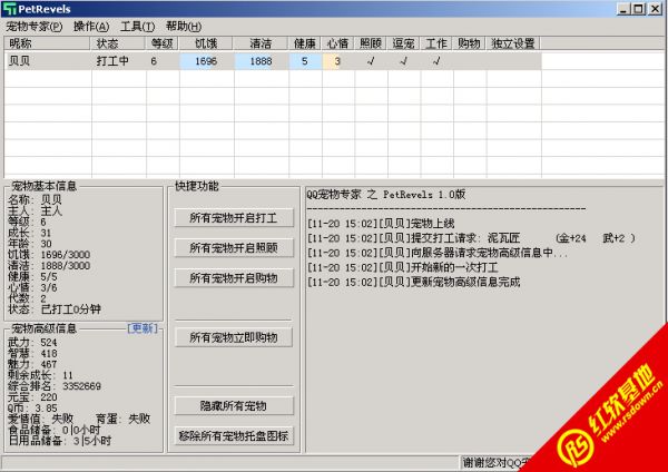 QQ宠物挂机软件