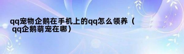 qq宠物企鹅在手机上的qq怎么领养（qq企鹅萌宠在哪）