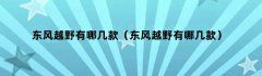 东风越野有哪几款（东风越野有哪几款）