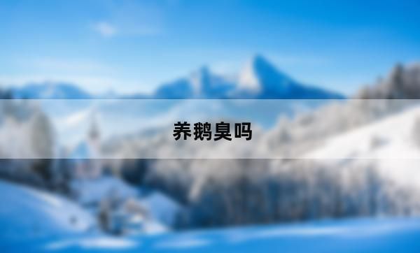 宠物鹅怎么养不脏(宠物鹅好养吗)