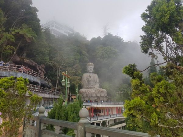 十二生肖与金木水火土五行对照查询表
