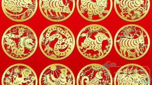 12生肖怎么算属五行