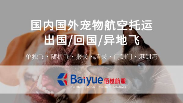 国际国内宠物托运：宠物单独飞、宠物随机飞、宠物进客舱