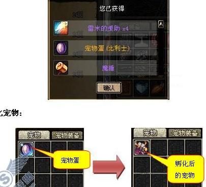 地下城与勇士宠物怎么获得