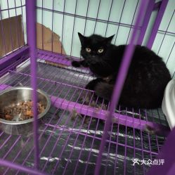 【宠物店电话】潍坊有哪些价格如何服务怎么样