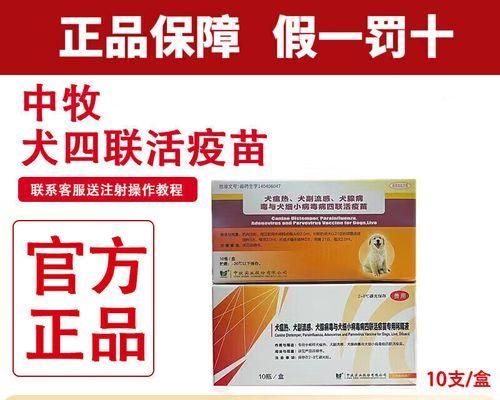狗狗为什么会翻肠子？怎么办？（教你如何避免狗狗翻肠子及处理方法）