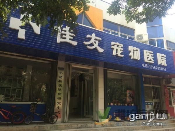 潍坊最权威的综合性宠物医院