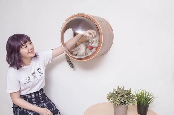 喵星人版的“太空舱”，国外设计师专门为猫咪做的产品