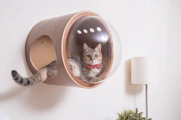 喵星人版的“太空舱”，国外设计师专门为猫咪做的产品